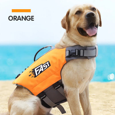 Gilet natation chien - Gros-Chien.com