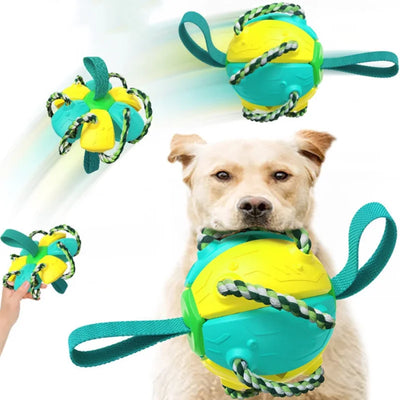 Balle Frisbee Pliable Indestructible Gros Chien