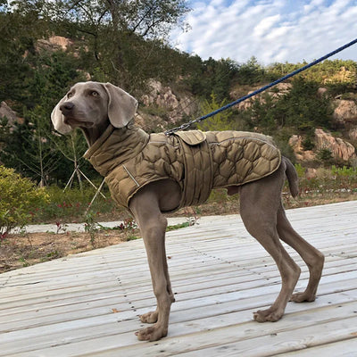 Manteau Hiver Coupe-Vent Réfléchissant Gros Chien