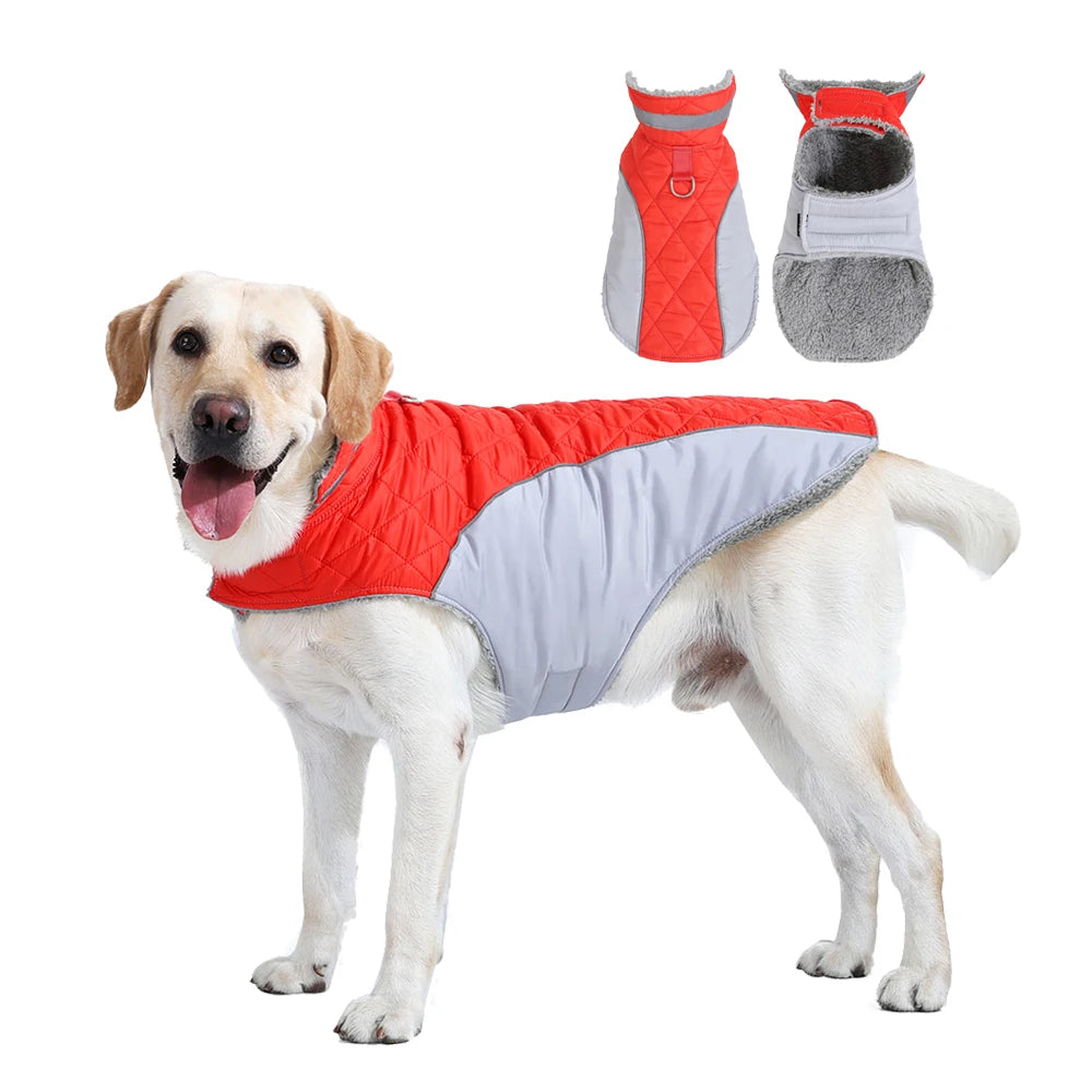 Manteau Imperméable Doublure Polaire Épaisse Col Haut Grand Chien