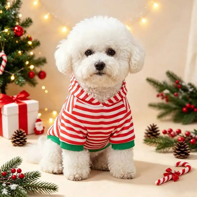 Sweat de Noël Rayé Lutin Chien