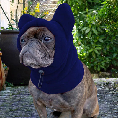 Cagoule Chien Multicolore Cache-Oreilles Hiver