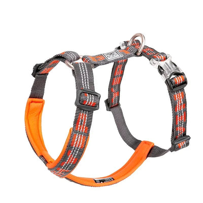 https://cdn.shopify.com/s/files/1/0489/2898/1148/files/S6250681c32204fdfb54e33f0ac87c3afg.webp?v=1742985613
