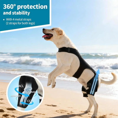 Attelle Chien 4 Stabilisateurs Métalliques Soutien Pattes Arrière