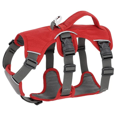 https://cdn.shopify.com/s/files/1/0489/2898/1148/files/S62c9adafcec14aa7884207e799584d99M.webp?v=1742985550