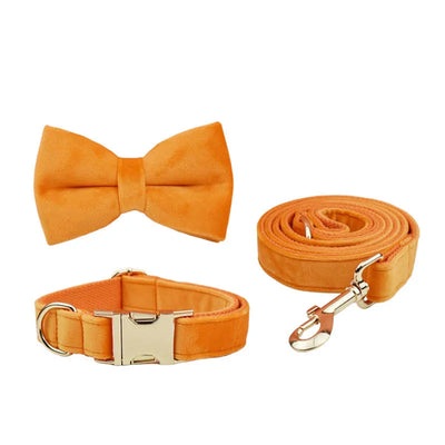Collier et Laisse Velours Orange Personnalisé Chien
