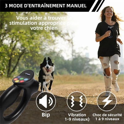 Collier Dressage 1600ft Gros Chien IPX7 Rechargeable