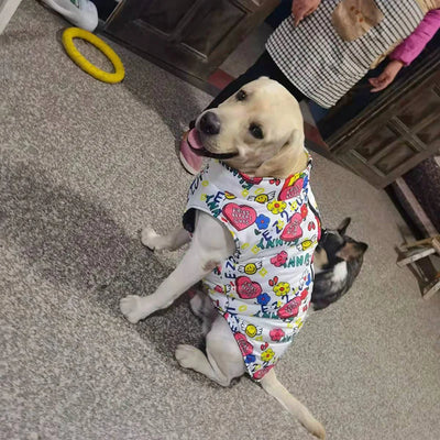 Veste Imperméable Boucle Traction Gros Chien