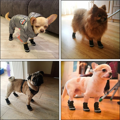 Bottes Neige Imperméables Polaires Gros Chien