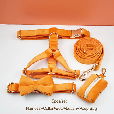 Collier et Laisse Velours Orange Personnalisé Chien
