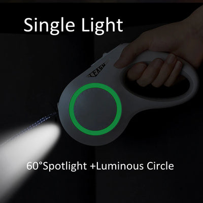 Laisse Rétractable LED 5m pour Chien
