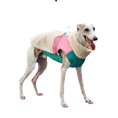 Manteau Laine d'Agneau Coupe-Vent Chien Extérieur