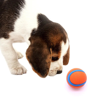 Jouet Indestructible Balle Rebondissante à Mâcher 5 ou 6 cm