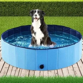 Piscine pour Chien 160 cm Pliable avec Vidange