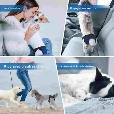 Culotte Hygiénique Chien Lavable avec 3 Coussinets jusqu'à 59 cm