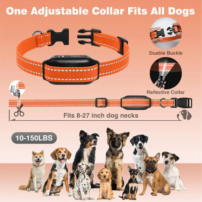 Collier Dressage Ultrason Sans Choc Gros Chien