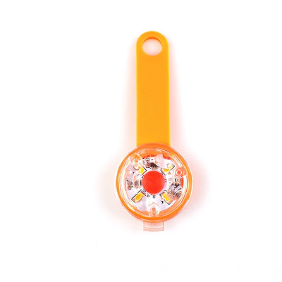 Collier LED Rechargeable Multicolore pour Chien