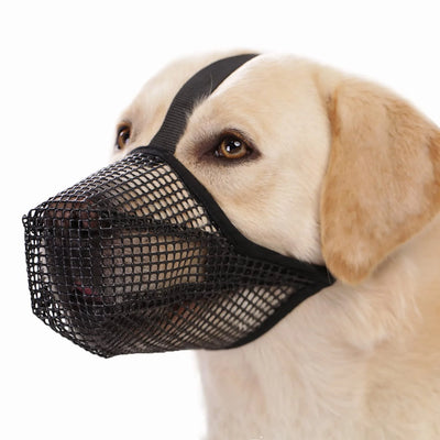 Muselière Chien Maille Souple Anti-Ramassage Labrador
