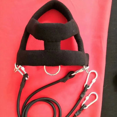 Harnais de Traction Pitbull Plastron Rembourré Corde Élastique