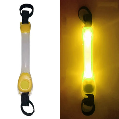 Collier Lumineux Étanche Anti-Perte pour Chien