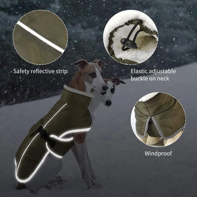 Manteau Hiver Réfléchissant Gros Chien Coupe-Vent