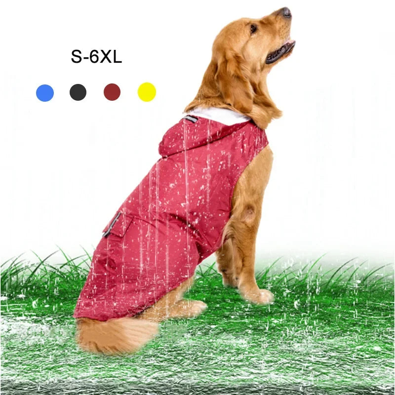 Manteau Imperméable Réfléchissant à Capuche Chien
