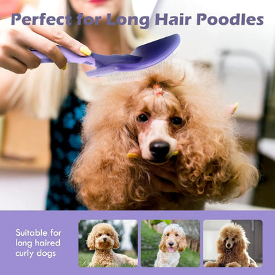 Brosse de Toilettage pour Caniche et Chien Poils Bouclés
