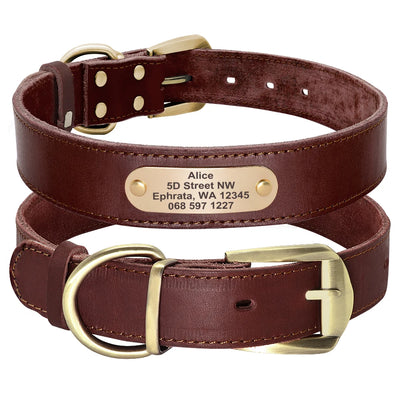 Collier Cuir Plaque d'Identification Gravée Chien Pitbull