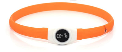 Collier LED Étanche USB pour Chien