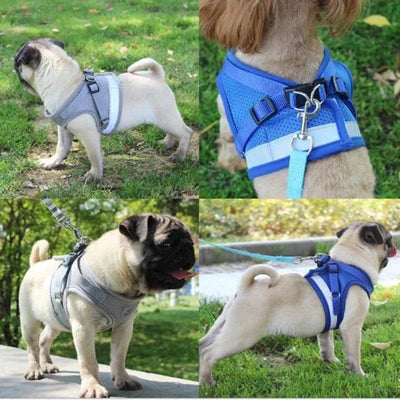 https://cdn.shopify.com/s/files/1/0489/2898/1148/files/S6a0a52a5bdf242a6b28178fccf75c566D.webp?v=1742913806