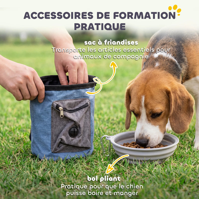 Kit d'Agility Chien PawHut 11 Pièces avec 2 Tunnels
