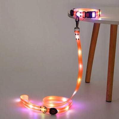Collier et Laisse LED Lumineux pour Chien
