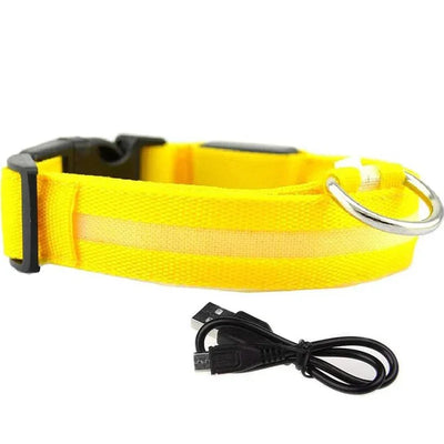 Collier LED Veilleuse Rechargeable pour Chien