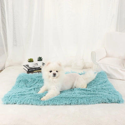 Tapis Moelleux Chien Ultra Doux Grand Format