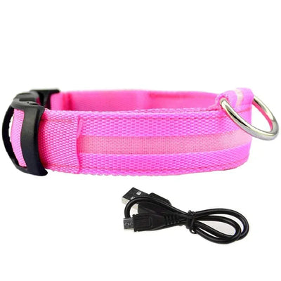 Collier LED Veilleuse Rechargeable pour Chien