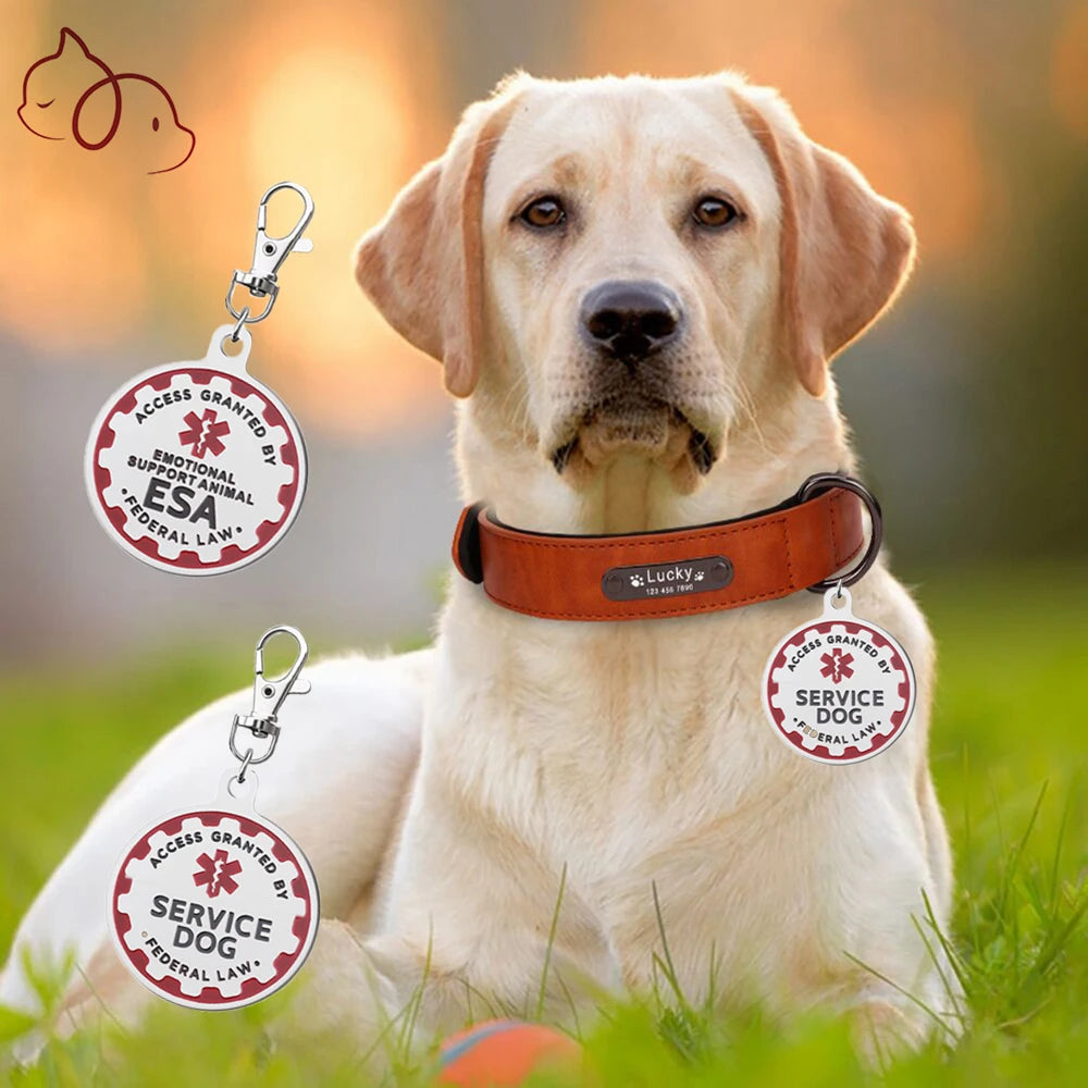 Médaille Chien de Service et ESA à Clipser