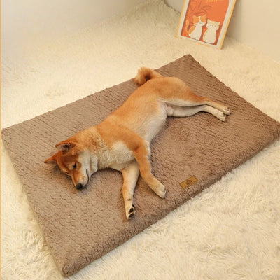 Matelas Orthopédique pour Chien Mémoire de Forme Housse Amovible