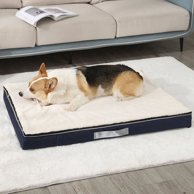 Matelas Mémoire de Forme pour Chien, Housse Lavable, 10 cm