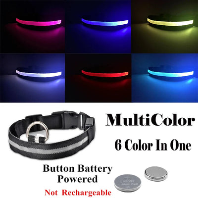 Collier Lumineux LED USB pour Chien