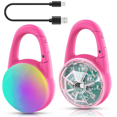 Lumière LED Rechargeable pour Collier de Chien