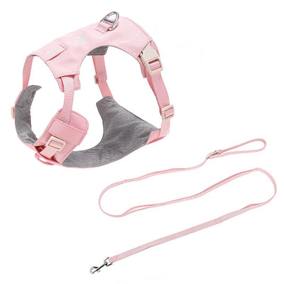 Ensemble Harnais et Laisse Assortis Anti-Traction Chien