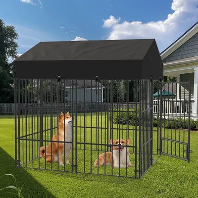 Enclos Chien Grillage Soudé avec Toit pour Extérieur