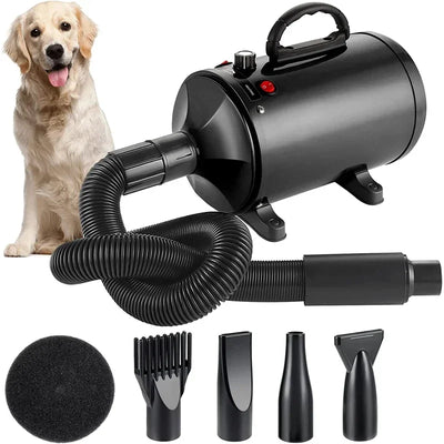 Souffleur de Toilettage Sèche-Poil 100 m/s pour Grand Chien