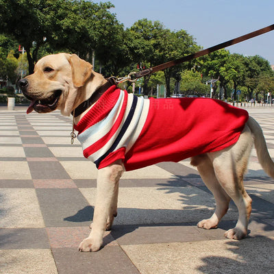 Pull de Noël Renne pour Chien Moyen et Grand