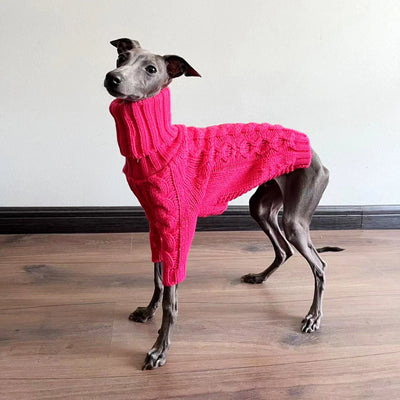 Pull Col Roulé Chaud pour Lévrier Italien Whippet