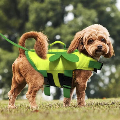 Gilet de sauvetage chien abeille - Gros-Chien.com