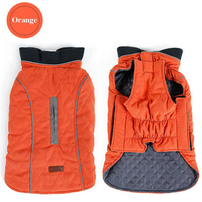 Manteau Hiver Réfléchissant Bull Terrier Six Coloris XS-3XL