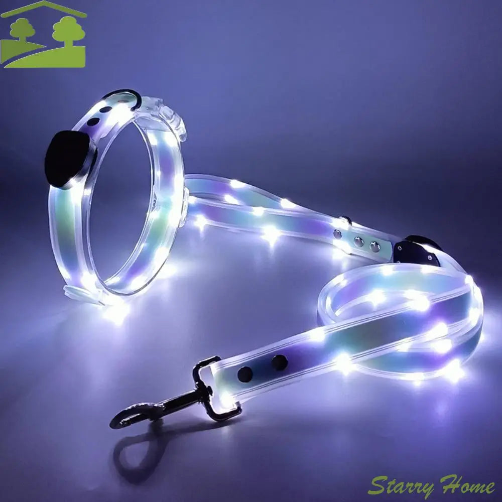 Collier et Laisse LED Lumineux pour Chien