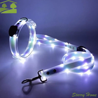 Collier et Laisse LED Lumineux pour Chien