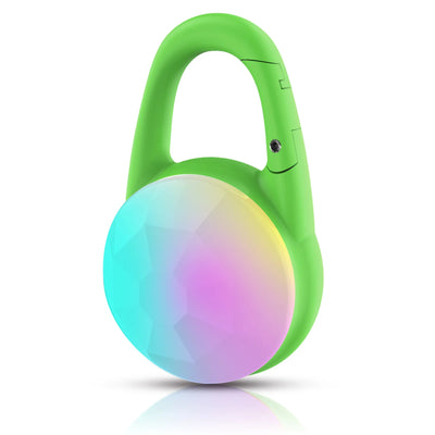 Lumière LED Rechargeable pour Collier de Chien